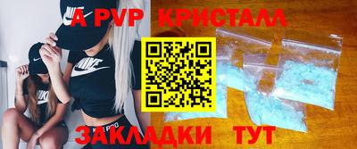 мет Кингисепп